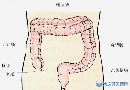 大连市春柳医院做肠镜是怎么样的？